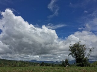 Obraz premium clouds and sky