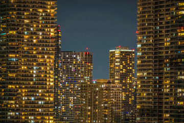 Fototapeta premium 豊洲から見える東京の夜景