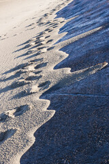 Walking at the beach on a cold winter day