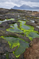 Rock pools in Ocean cliffs by Gjogv, Faroe Islands. Green algae around rocks, mountains in background.