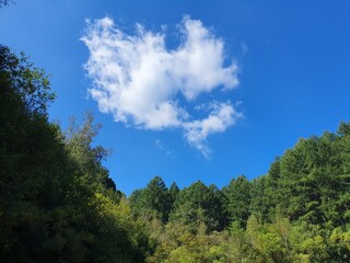 sky and clouds