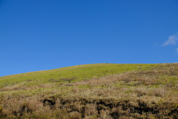 Obraz premium 自然の景色