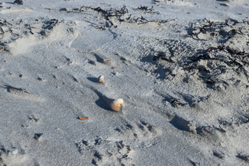Sand at the beach in Europe