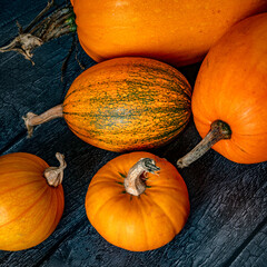 Autumnal Pumpkins