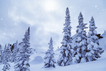 Winter landscape with snow falling, trees in snow and blue sky. Sheregesh ski resort in Russia, located in Mountain Shoriya, Siberia.
