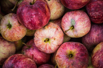 Freshly harvested apples on the table. Selective focus. Shallow depth of field.