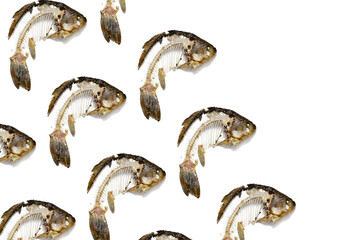 Geometric pattern from fish skeleton that was eaten, leftovers of food. Creative food background.