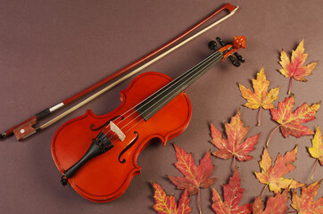 Fototapeta na wymiar Violin with a bow and red maple leaves.