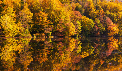 Lake fog landscape with Autumn foliage and tree reflections in Styria, Thal, Austria