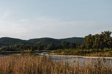 dry swampy river in a wild place