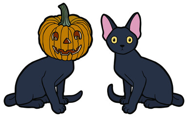 Vector illustration. Hand drawing art. Funny cats. Cat with a pumpkin on his head. Cartoon kittens. Halloween decoration.