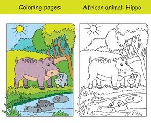Coloring and color for children education hippo