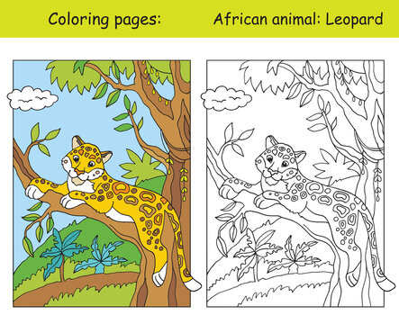 Coloring and color for children education leopard