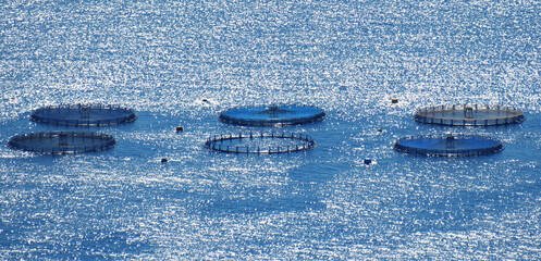 Fish farms or farm of fishes at sea shore