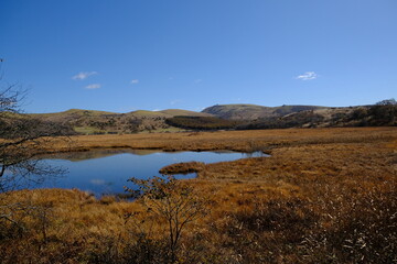 自然に広がる大池