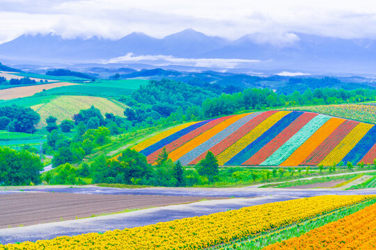 美瑛町 Images Browse 85 Stock Photos Vectors And Video Adobe Stock