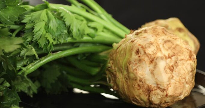 Close up shot of freshly harvested celery root rotating at black background