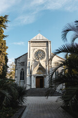 cathedral between tropical trees