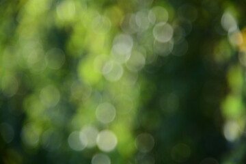 Obraz premium abstract bokeh background
