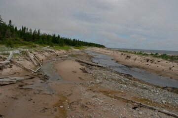 taiga river that flows into the White sea