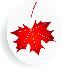 The red maple leaf in a circle.