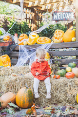 baby sitting on a haystack surrounded by halloween pumpkins