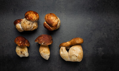 Many, Delicious, ready to cook Mushrooms,  close up photography with copy space on a dark grey background 