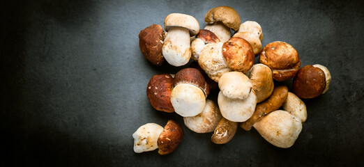 Many, Delicious, ready to cook Mushrooms,  close up photography with copy space on a dark grey background 