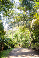 Junge Frau läuft auf einem Weg durch den Dschungel, Laos 
