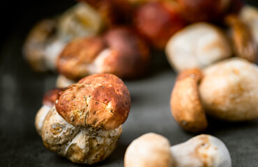 Many, Delicious, ready to cook Mushrooms,  close up photography with copy space on a dark grey background 