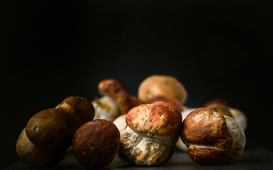 Many, Delicious, ready to cook Mushrooms,  close up photography with copy space on a dark grey background 