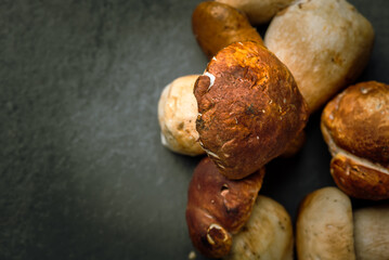 Many, Delicious, ready to cook Mushrooms,  close up photography with copy space on a dark grey background 