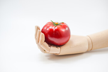 りんごを持つ木製の手