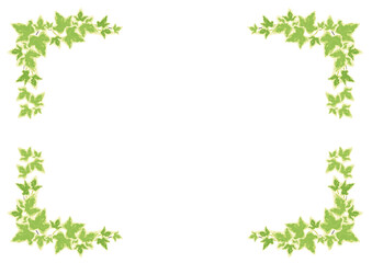 観葉植物：枠-ヘデラ