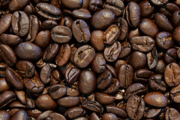 coffee beans background