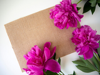 Frame of pink peonies, floral background