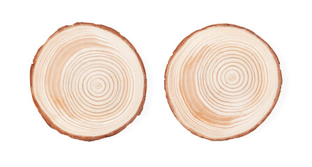 A tree ring separated on a white background.