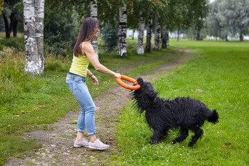 Briard and woman play in public park.