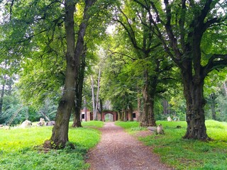 Парков азона