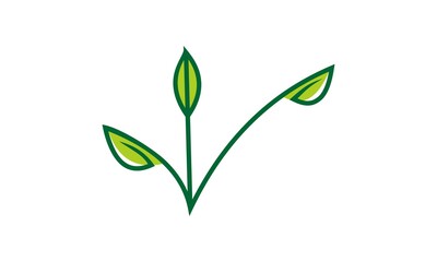 line art leaf vector