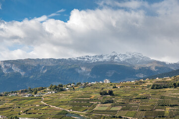 vineyards at Sion, Valais
