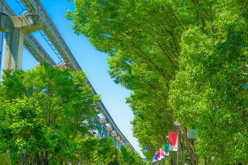 多摩都市モノレールと新緑