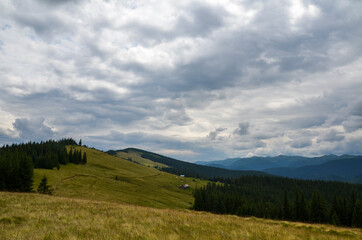 Wooden shepherds houses on pasture in the middle of evergreen spruce forest and mountain landscape in the background. Carpathian mountains, Ukraine