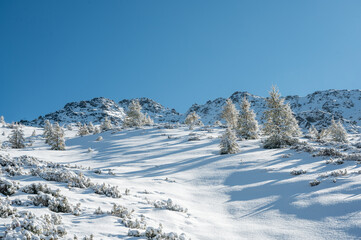 Fototapeta na wymiar pristine winter scenery in Vallée du Trient, Valais