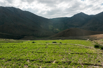 Green fields in a Himalayan village