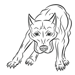 illustration of a dog