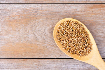White pepper in wooden spoon on wood
