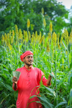 indian farmer counting and showing indian rupees at sorghum field