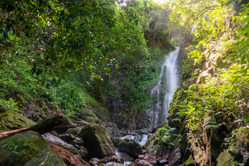 Fototapeta premium Pha Ngam Ngon Waterfall In Nakorn Nayok, Thailand
