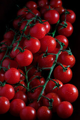 Lots of ripe fresh cherry tomatoes on a branch in drops of water.